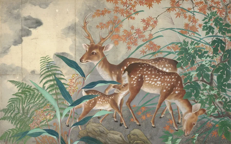 圖片