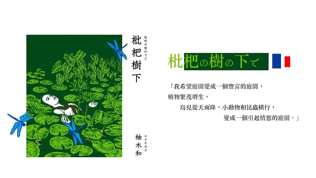 圖片