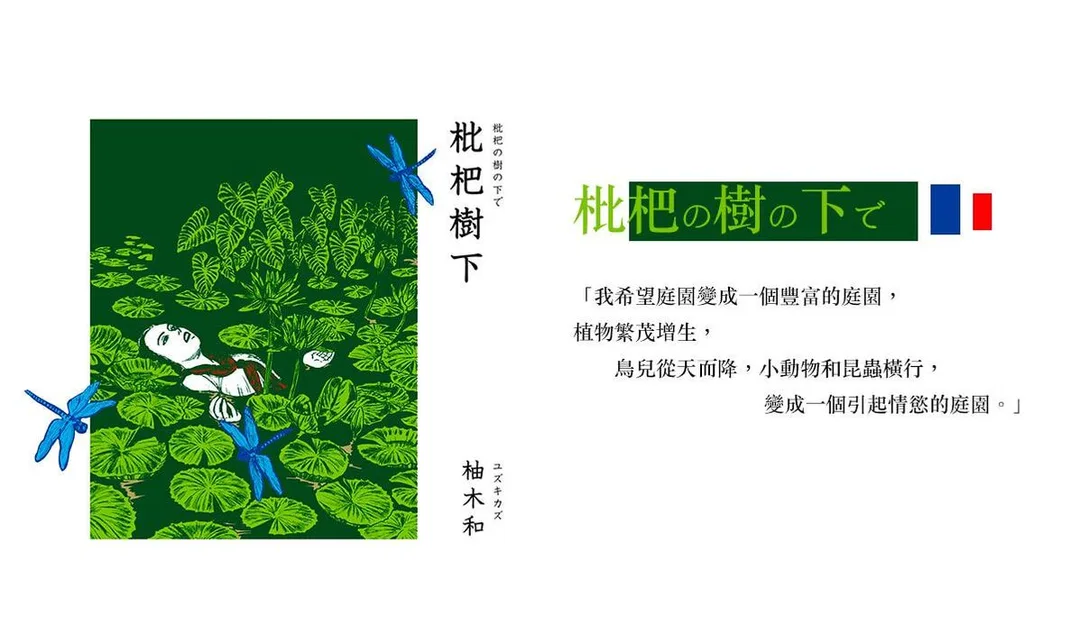 圖片