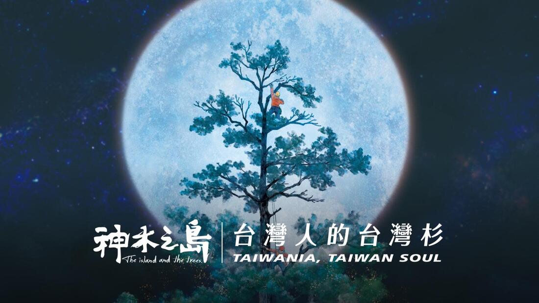 《神木之島》我那多山多樹的山林之國