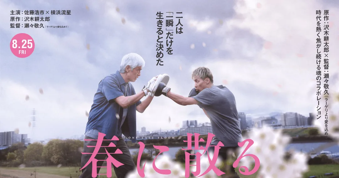 圖片