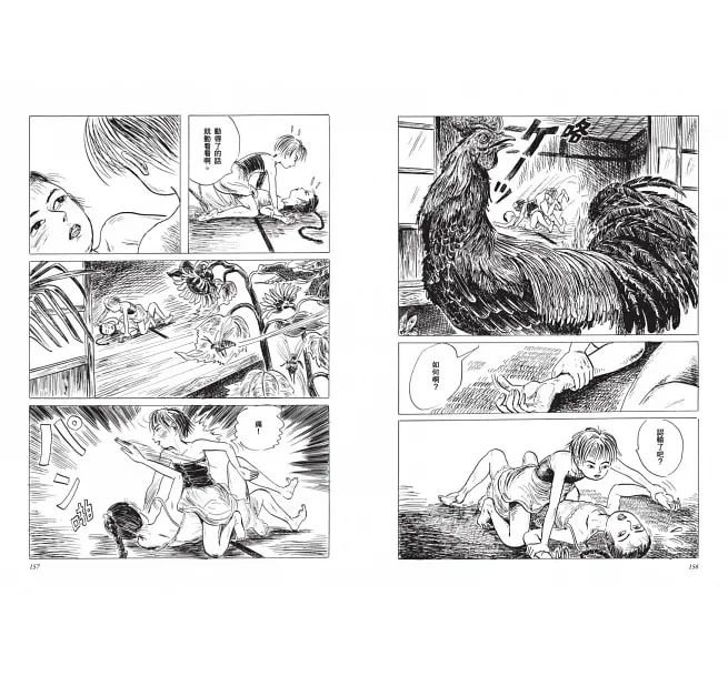 圖片