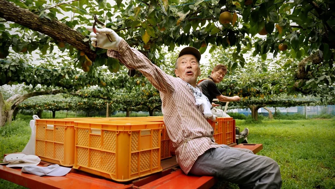 圖片