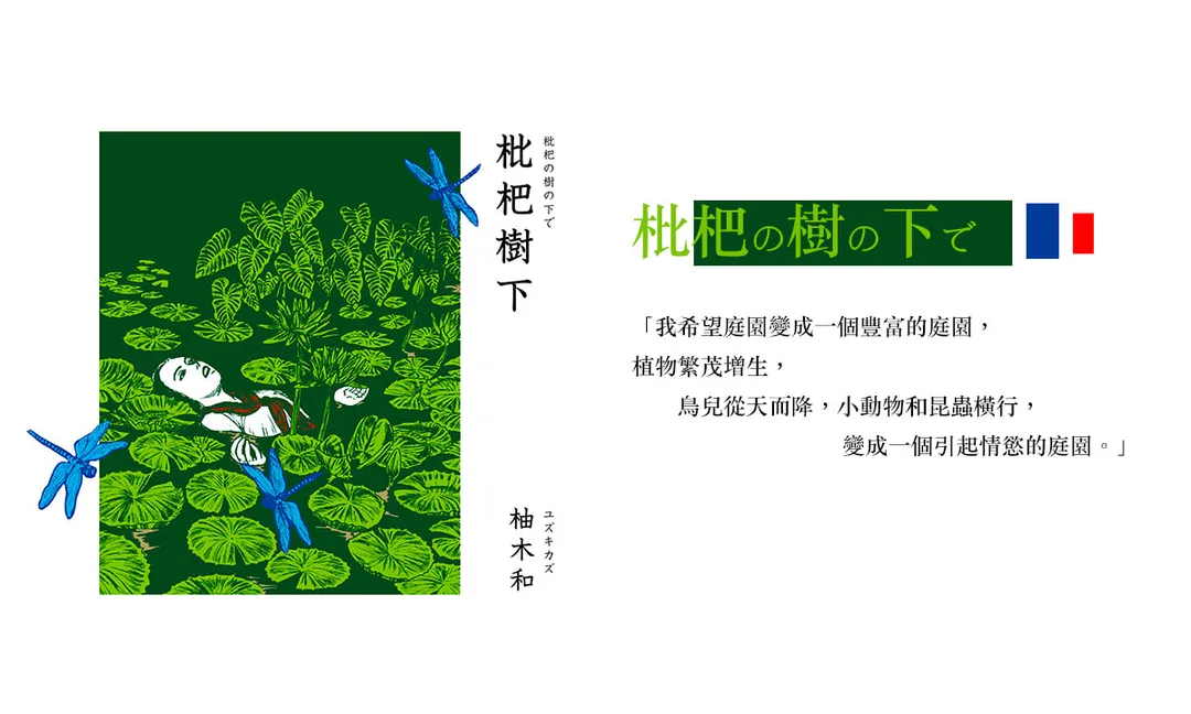 圖片